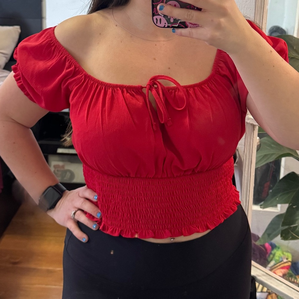 Pink Rose Red Smocked Crop Top